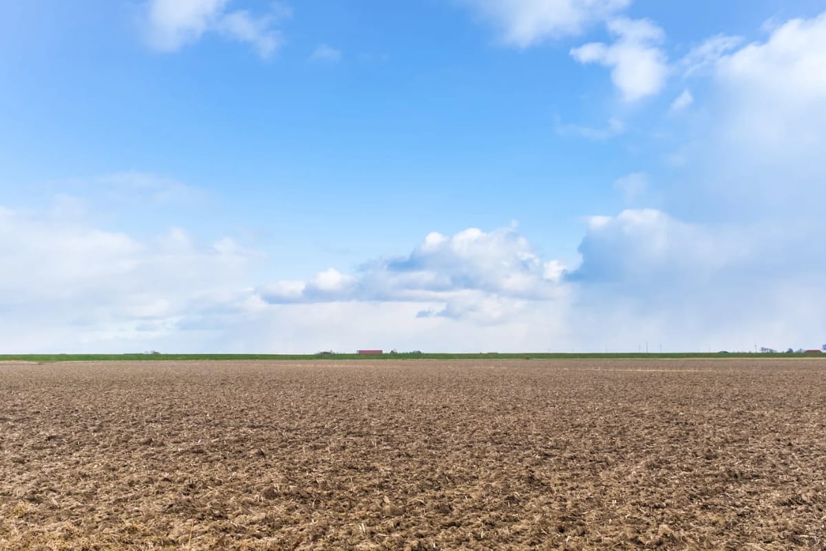 دون عنوان (1200 x 800 بيكسل) 20250823 144705 ٠٠٠٢